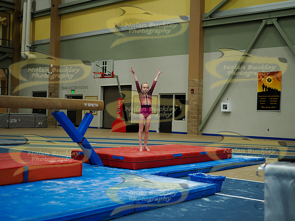 _3155791