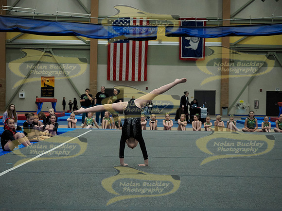 _3159306