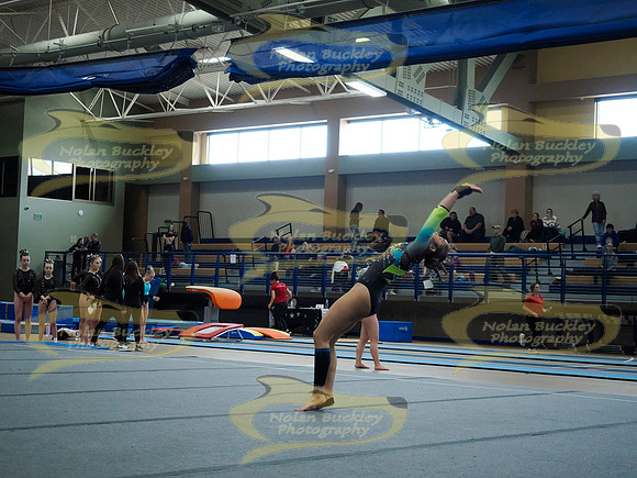 _3146633
