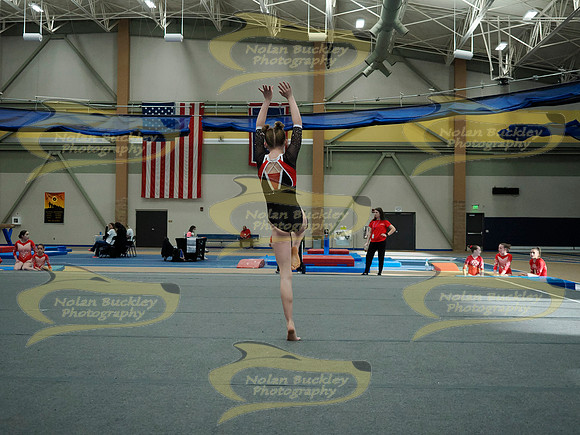 _3150585