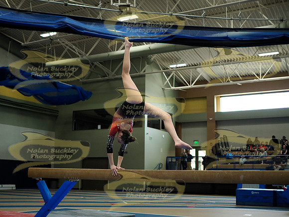 _3144799
