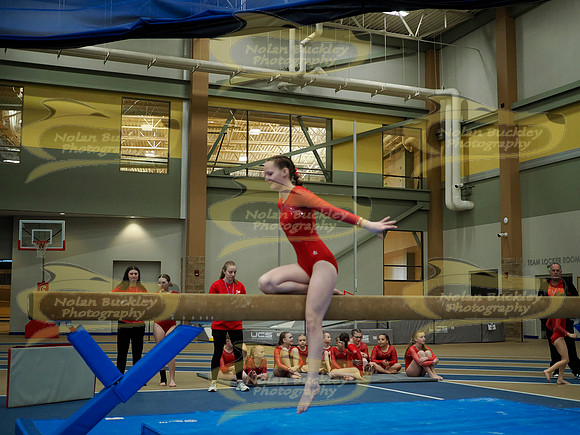 _3153621