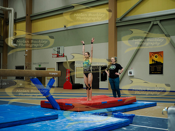 _3155008