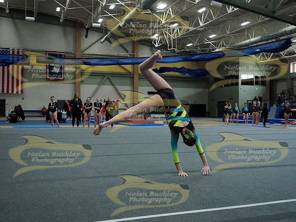_3146683