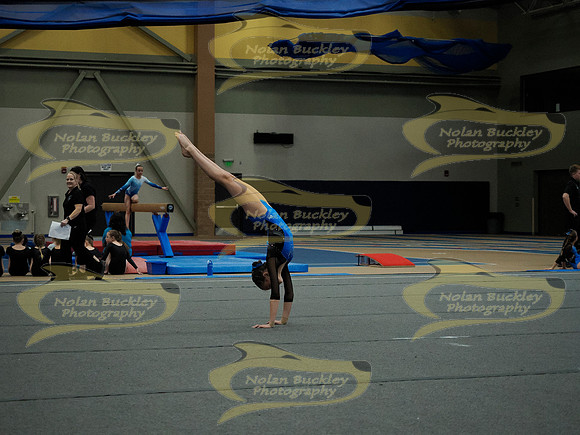 _3141482
