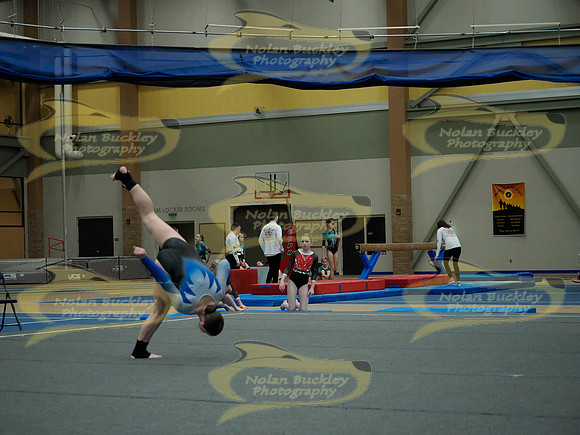 _3150748